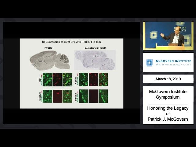 Guoping Feng, Thalamic reticular nucleus dysfuntion: McGovern Institute Symposium