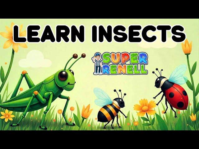 Cartoon – Kids Songs – Baby Learning Videos | Learn INSECTS | Super Renell Toddler Learning Video