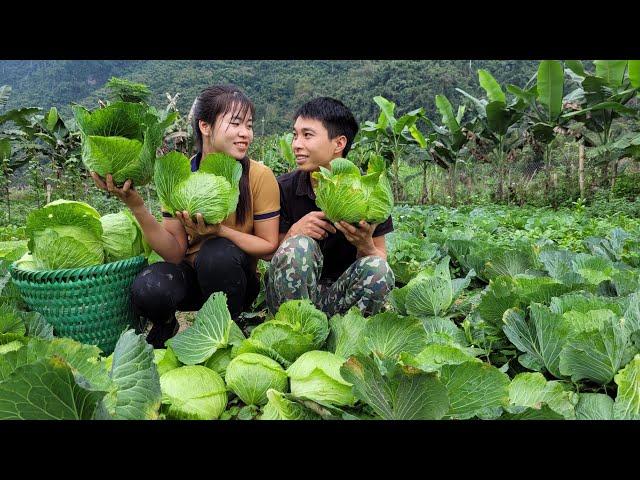 FULL VIDEO: 30 days Dần warm care for Linh - A cherished memory. Agricultural harvest | Linh's Life