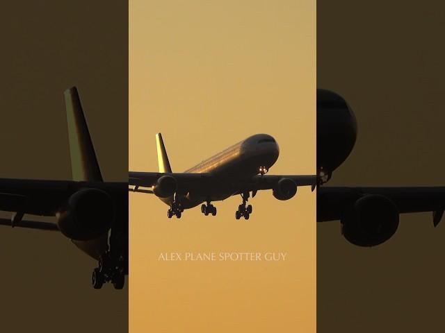 LUFTHANSA A340-600 LANDING DURING GOLDEN HOUR AT CHICAGO OHARE ORD