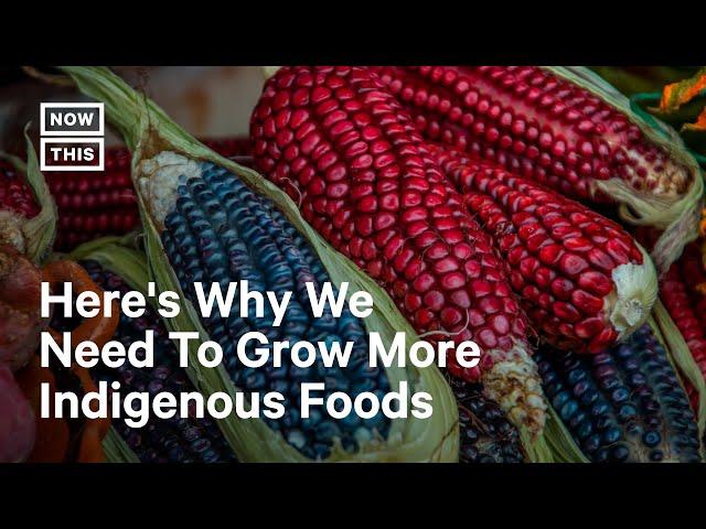 Why We Need to Grow More Indigenous Foods