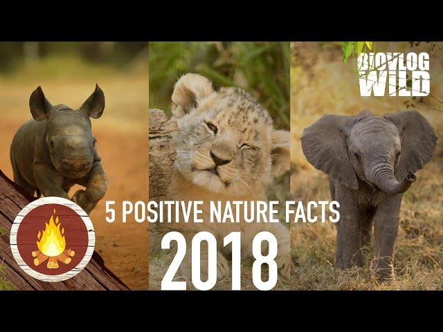 5 POSITIVE NEWS FACTS about NATURE in 2018!