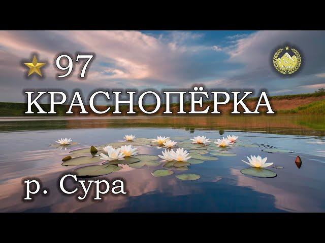  р. Сура  Краснопёрка  Русская рыбалка 4 