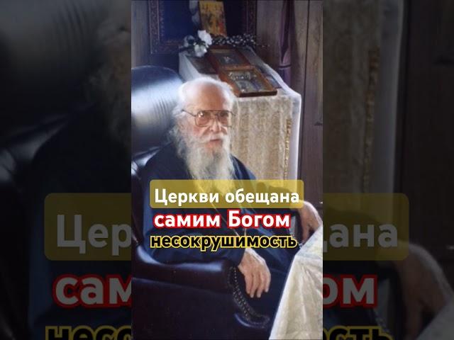 Божья Организация #Церковь #Истина #Христос #Господь #Спас #РосПЦ #старец #монах #мудрость #счастье