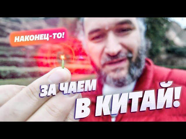 За чаем в Китай. Аутентичные фабрики и редкий чай из коллекции.