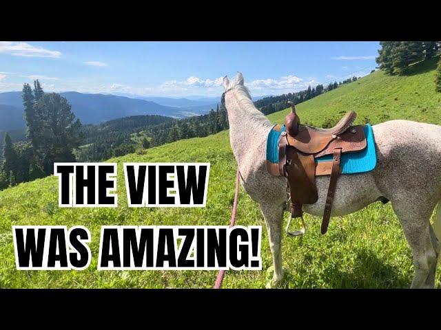 Arabian HORSE climbs a mountain ~ MONTANA trail ride POV!