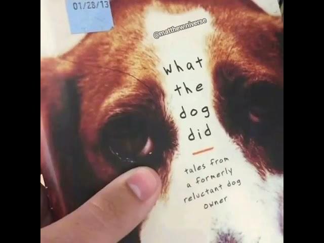 What the dog did