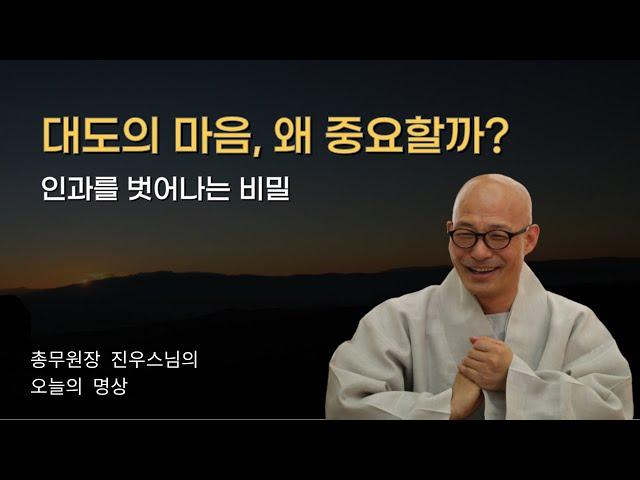 대도의 마음, 왜 중요할까? 인과를 벗어나는 비밀 | 두려움 없애는 힘을 가진다 - 행복으로 가는 선명상 - 진우스님의 오늘의 명상 #진우스님 #선명상 #개미의 발소리