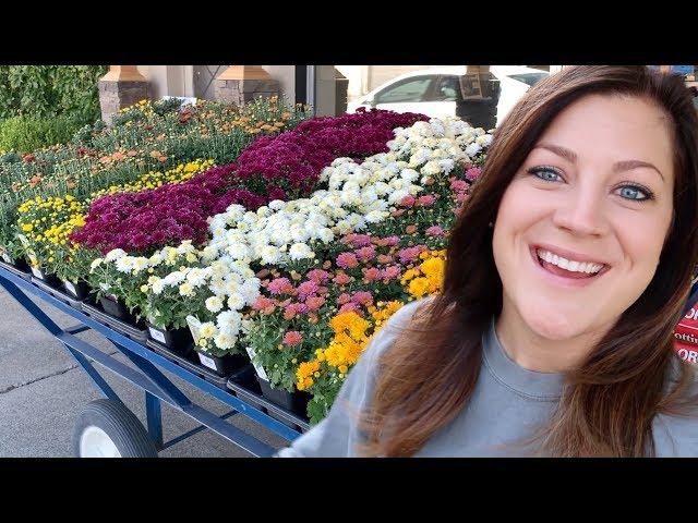 Fall Plant Shopping! // Garden Answer