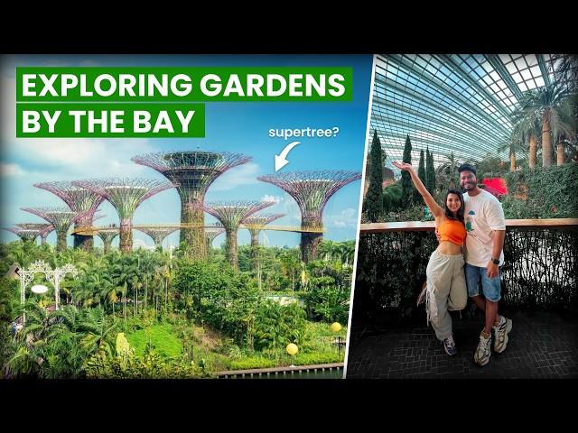 The Best of Gardens by the Bay - Don't Miss This in Singapore | Avatar Experience - Full Details