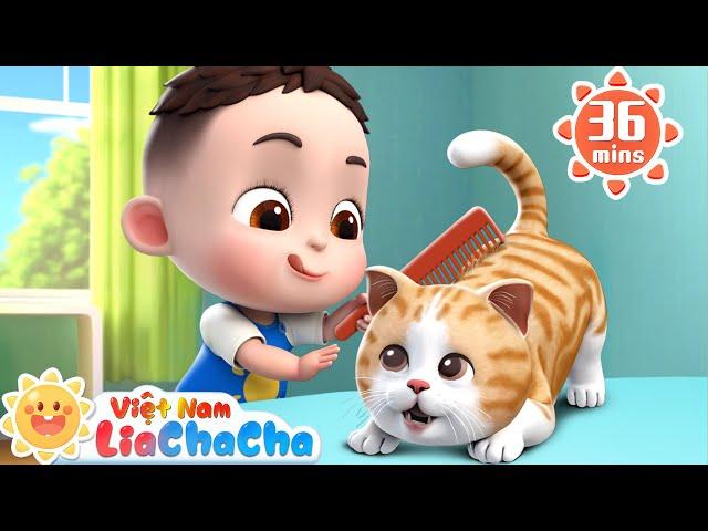  Khám bệnh cho mèo con ‍️ | LiaChaCha - Ca Nhạc Thiếu Nhi Việt Nam
