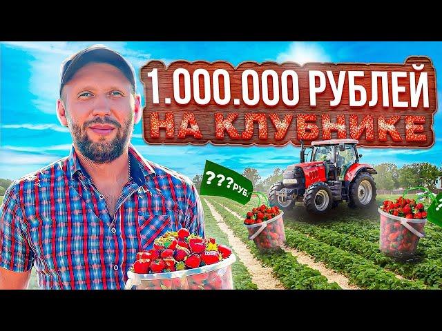 Сколько можно заработать на клубнике? / Бизнес с нуля на клубнике