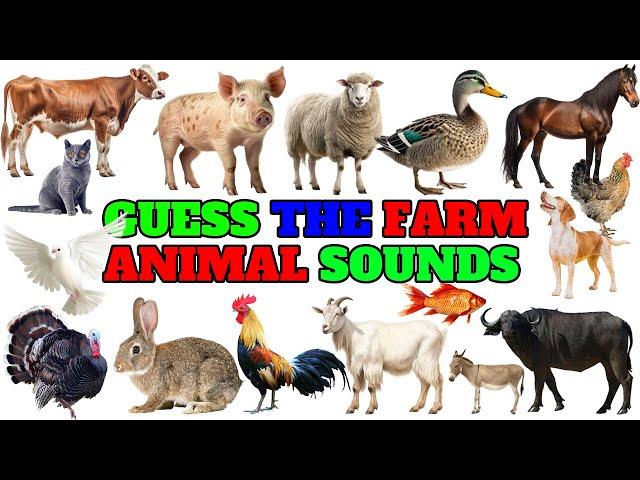 Farm Animals Name and sounds | Guess The Farm Animal Sounds - Farm Life TV