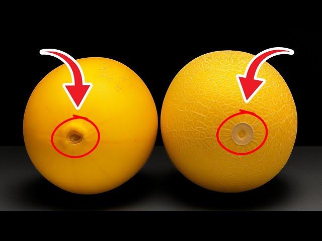 Tips for Cutting Cantaloupe That Will Make Everyone Admire !