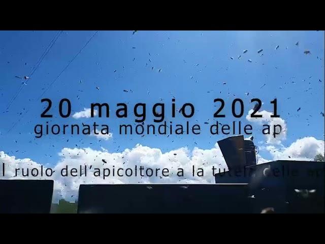 World bee day Giornata mondiale delle api- 20 maggio 2021 - Save the bees