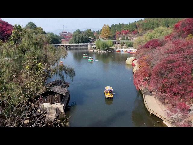 济南红叶谷4K航拍|Shandong's largest maple leaf forest