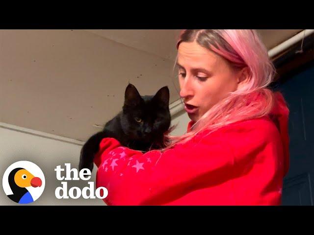 Stray Black Cat Walks Right Into Her Boyfriend's House... | The Dodo