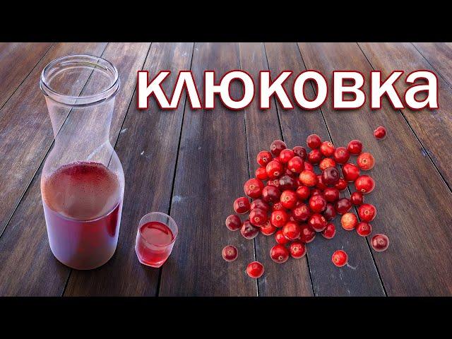 Клюковка по Сибирский!!! Рецепт Настойки на Клюкве от Канала Свой Среди Своих Кулинария