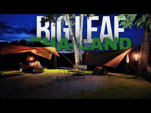 6 Days Camping Big Leaf Campsite