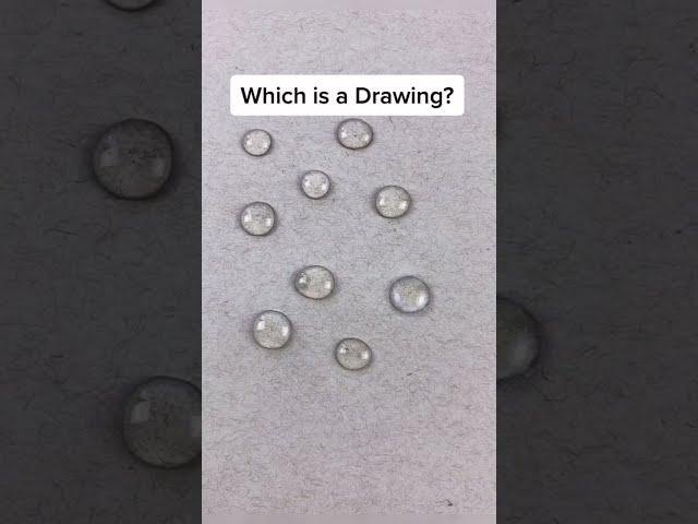 Which is a Drawing?/Drawing challenge