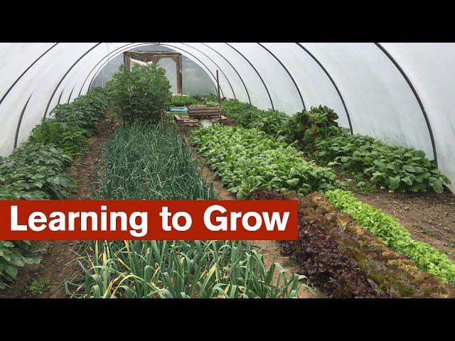 Learning to Grow - 6 Strategies