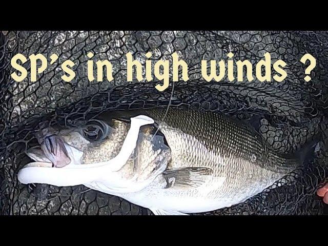 Fishing soft plastics for sea bass in high winds