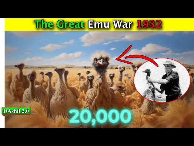 The Great Emu war 1932 || Emu ga Army ga Lan Soknaba || DAshil 2.0