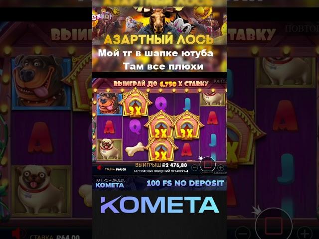 Хороший накид в собаках, заносы недели #заносынедели