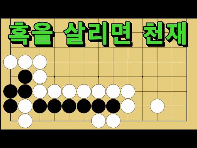 바둑 묘수 사활 - 감탄이 절로 나오는 묘수가 있습니다. 흑을 살려보세요.