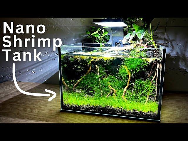 How To Make No filter Nano Shrimp Tank! | Step-by-step tutorial