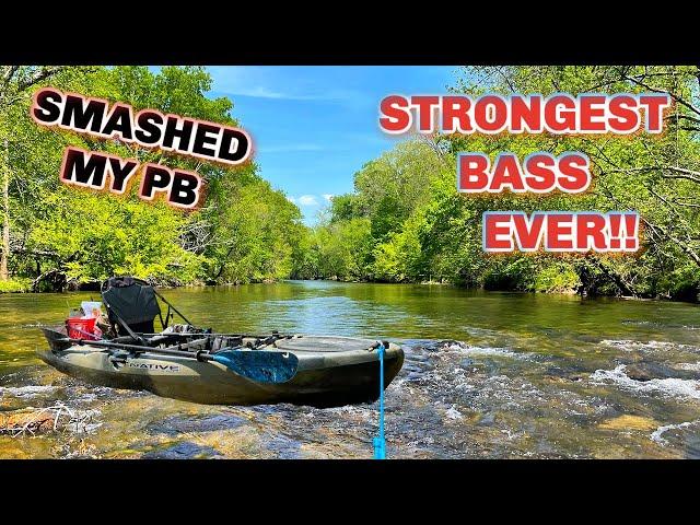 HUGE SPOTTED Bass from my FAVORITE RIVER!!!