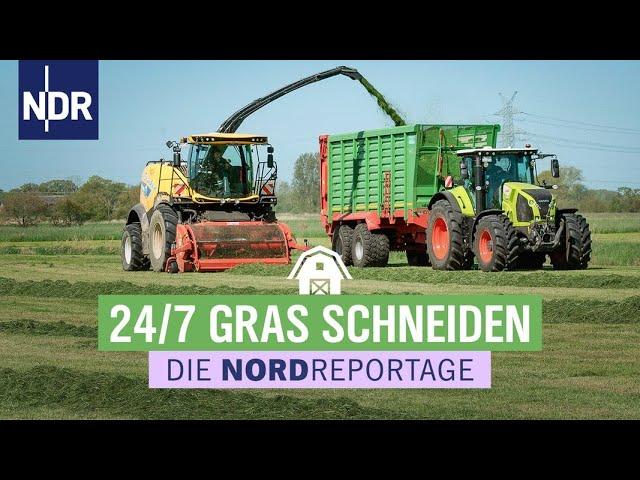 Schwaden, häckseln und einfahren: Trecker im Dauereinsatz | Die Nordreportage | NDR