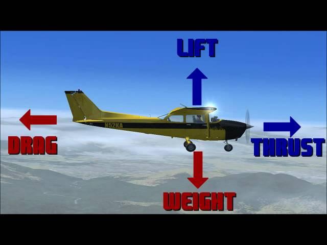 The Aerodynamics of Flight