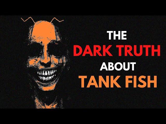 The Dark Truth About Tank Fish