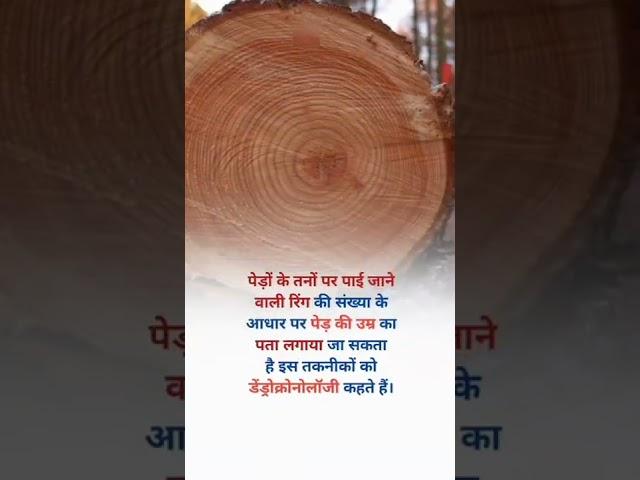 Tree ring_life hack_amazing fact_you dont know_#shorts #motivation #narendramodi