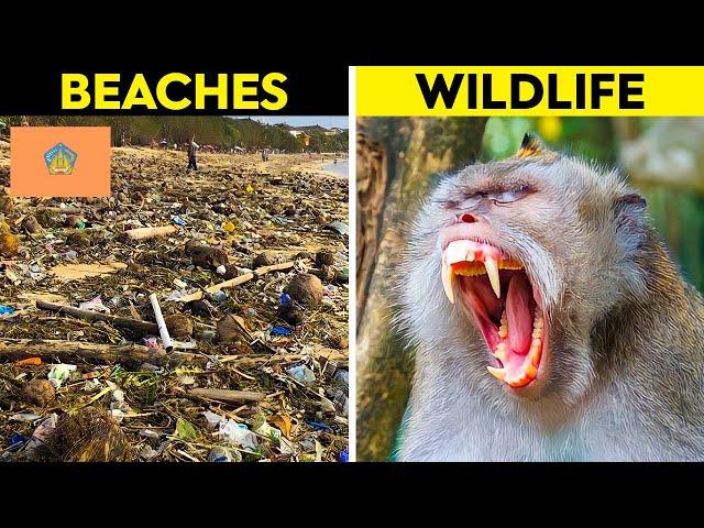 Tourist REVEAL Why Bali Is So Unsafe..