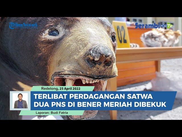 Terlibat Perdagangan Satwa Dilindungi, Dua PNS di Bener Meriah Dibekuk Polisi