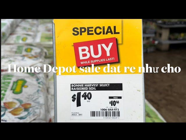 Home depot big sale dat $1.40 cho 1.5 cu .Costco mới về rất nhiều cay quýt đẹp co trái trung Tết .