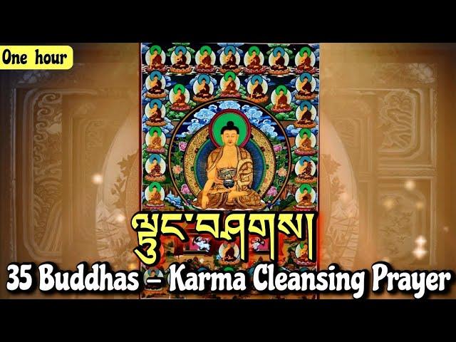 35 Buddhas - Karma Cleansing Prayer (1 Hour)ལྟུང་བཤགས|Buddhist Confession Prayer|Tibetan Prayer