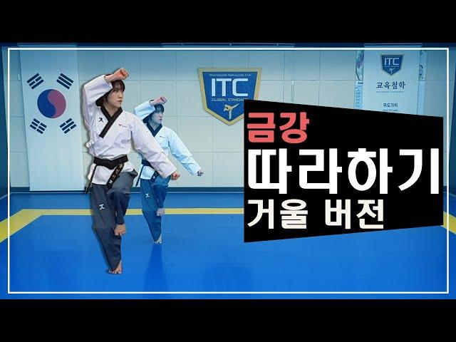 Geumgang poomsae Mirror mode