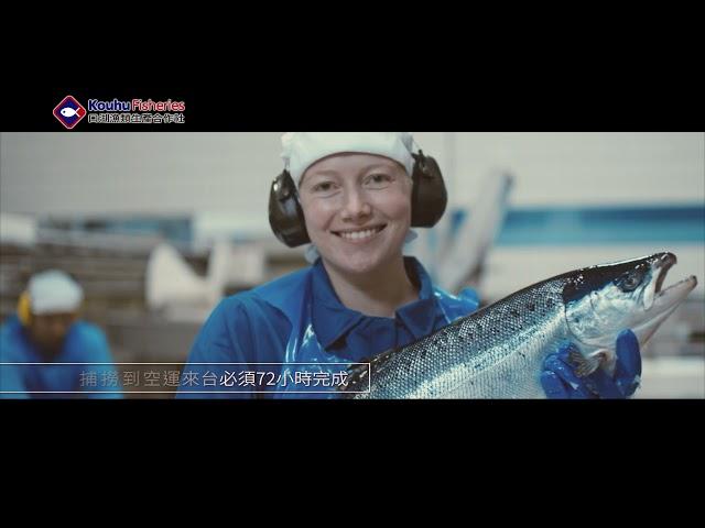 口湖魚類生產合作社鮭魚篇
