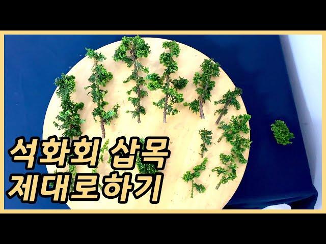 [TV분재] 석화회 삽목, 제대로 하기 how to properly cuttage with petrified ash