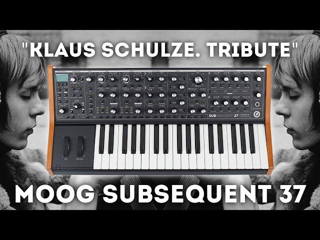 Moog Subsequent 37 - "Klaus Schulze. Tribute" 40 Presets and Sequences