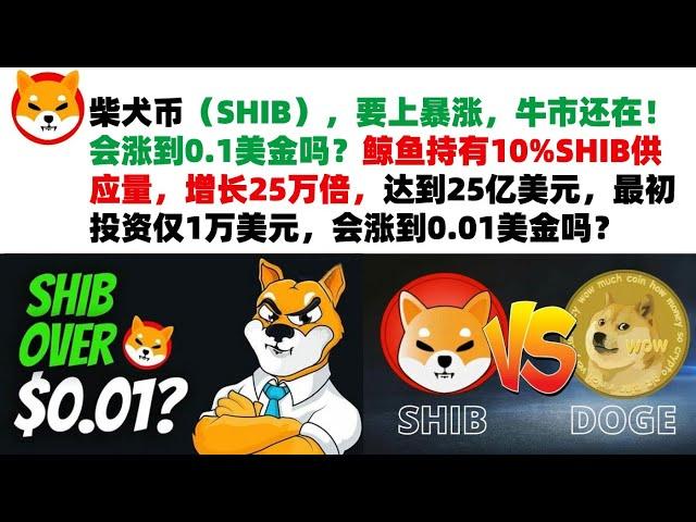 柴犬币（SHIB），要上暴涨，牛市还在！会涨到0.1美金吗？鲸鱼持有10%SHIB供应量，增长25万倍，达到25亿美元，最初投资仅1万美元，会涨到0.01美金吗？shib币|柴犬币|屎币行情分析！