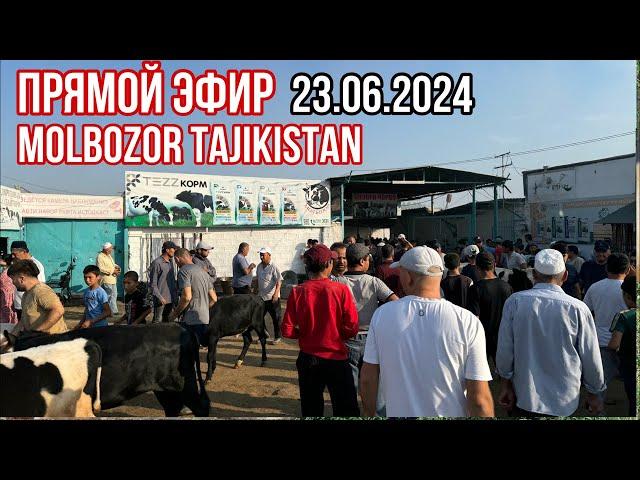 TajikistanМОЛБОЗОР МИРЗО в прямом эфире!