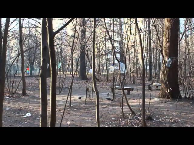 История повседневности