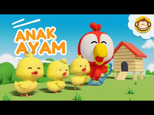 Anak Ayam | Tek Kotek Lagu Anak Anak | Lagu Anak Indonesia Balita