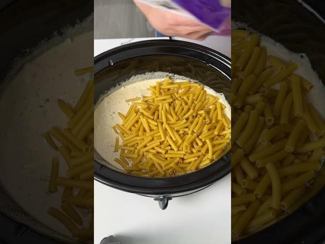 Creamy crockpot chicken & pasta 