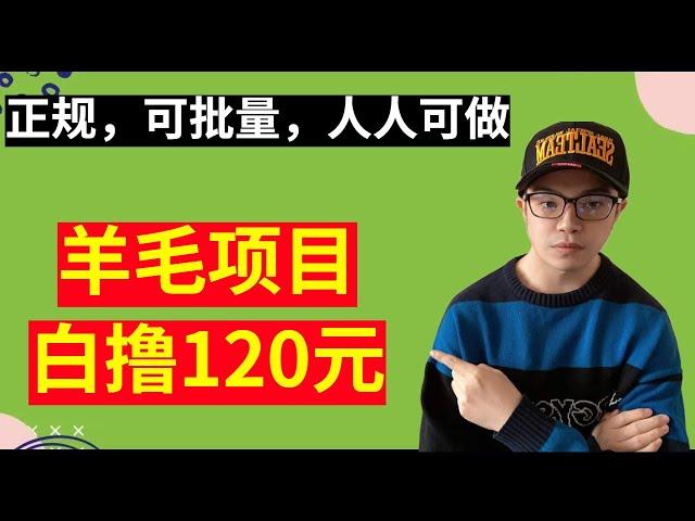 【网赚项目】羊毛项目，每个人白撸120元，可多账号操作，正规！|| 新手如何选择项目？（副业项目100招20）