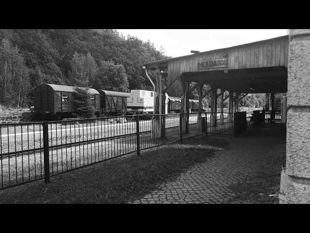 Der verträumte Bahnhof in Mulda / Sachsen